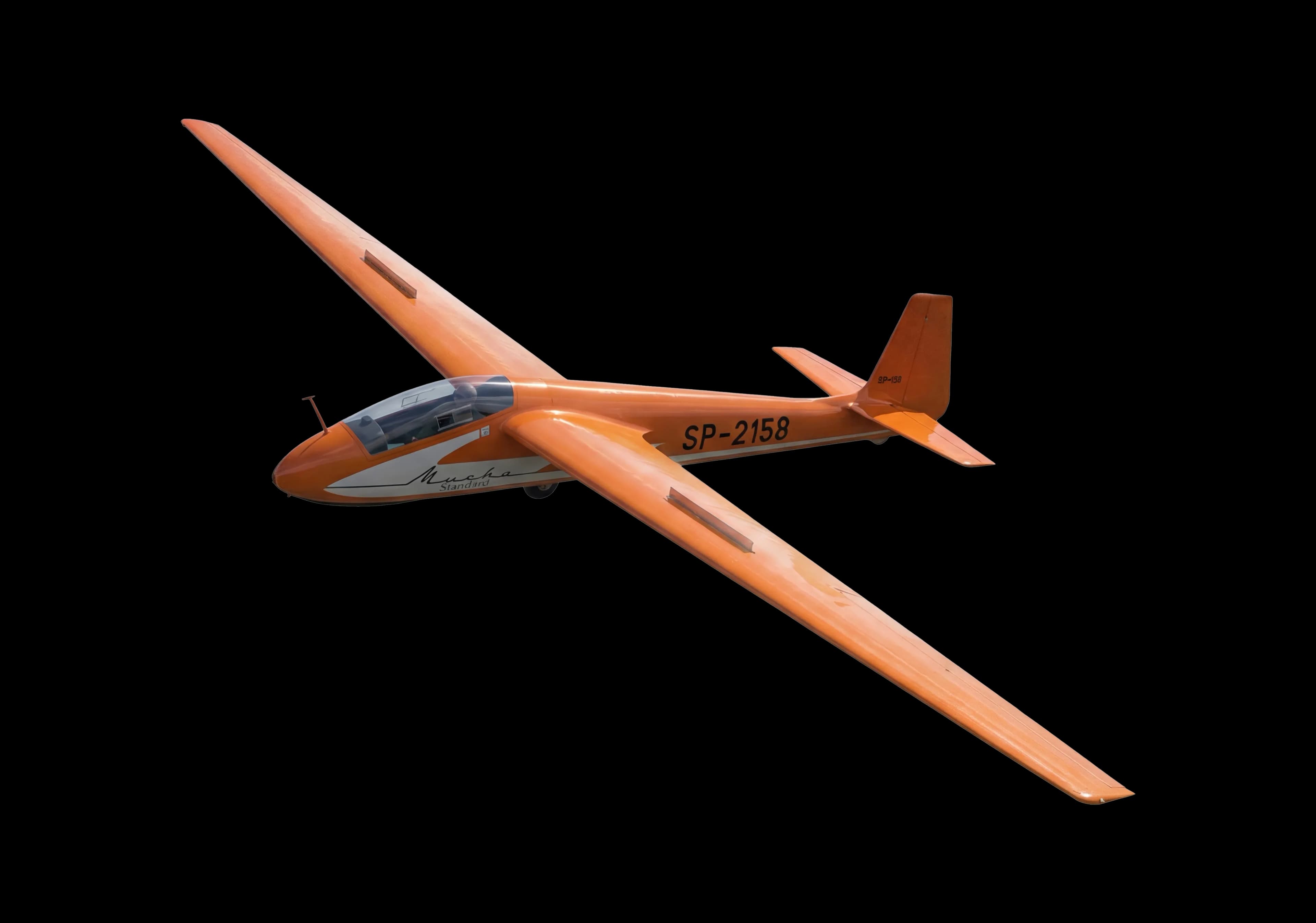 SZD-12 Mucha 100